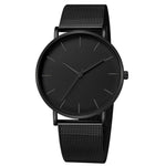 Simplicity Modern Quartz Watch Women Mesh Stainless Steel Bracelet High Quality Casual Wrist Watch for Woman Montre Femme D20